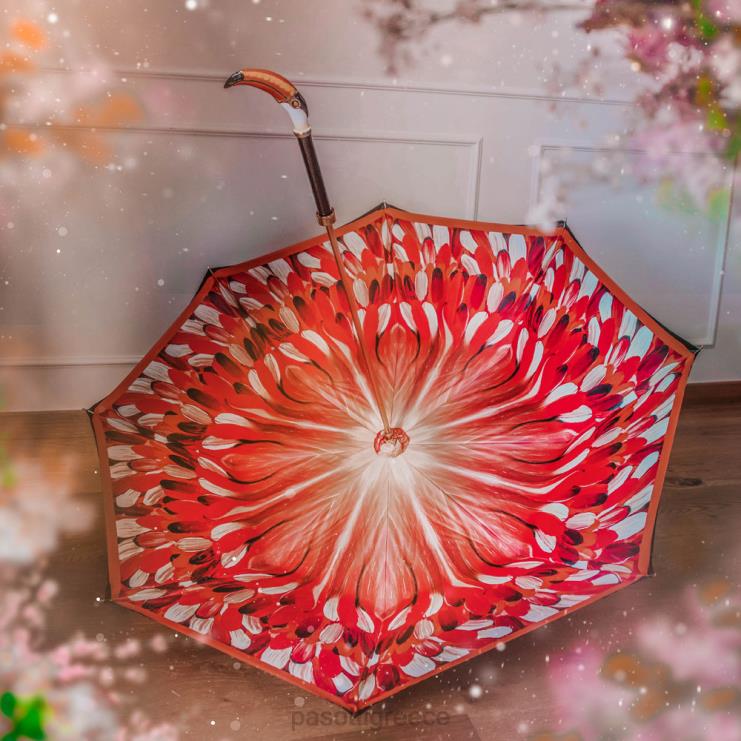 ομπρέλα | PASOTTI 189 30093-4 k3 - τουκανούμπρελα 2N6B8509 γυναίκες